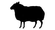 black sheep Hijack Clients